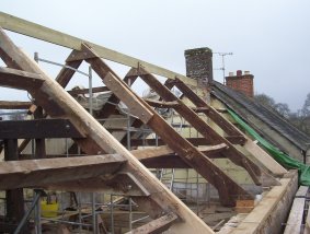 elmtruss