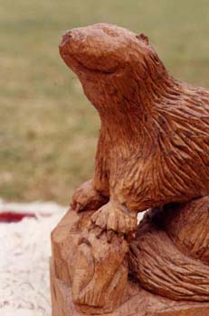otter